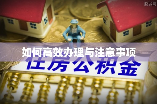 赫章如何高效办理与注意事项