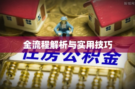 赫章全流程解析与实用技巧