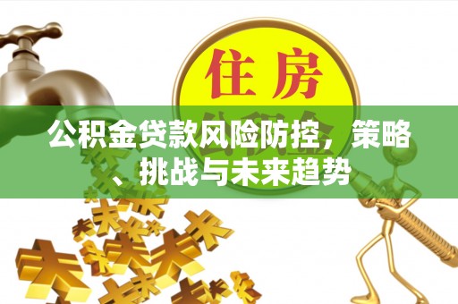 赫章公积金贷款风险防控，策略、挑战与未来趋势