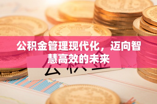 赫章公积金管理现代化，迈向智慧高效的未来
