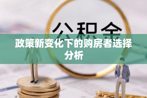 赫章政策新变化下的购房者选择分析