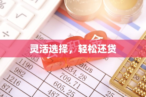 赫章灵活选择，轻松还贷