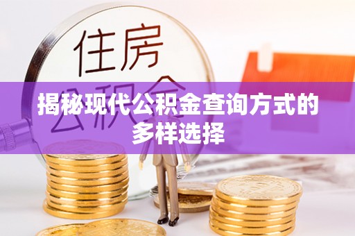 赫章揭秘现代公积金查询方式的多样选择
